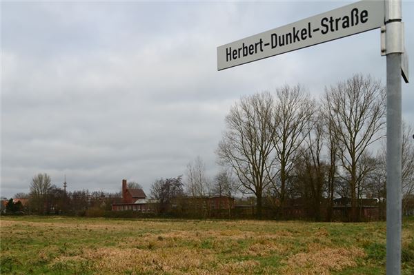 An der Herbert-Dunkel-Straße in Norden soll ein Wohnpark für Senioren entstehen. Zum Vorhaben gibt es auch kritische Stimmen.