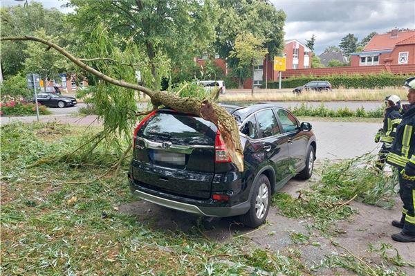 Ast auf Auto in Aurich: Sturm „Poly“ hat große Schäden angerichtet.