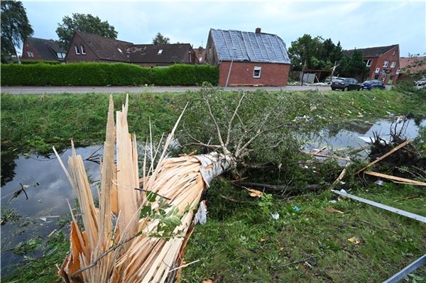 Windhose zieht Spur der Verwüstung durch Großheide Bäume wurden abgeknickt wie Streichhölzer.