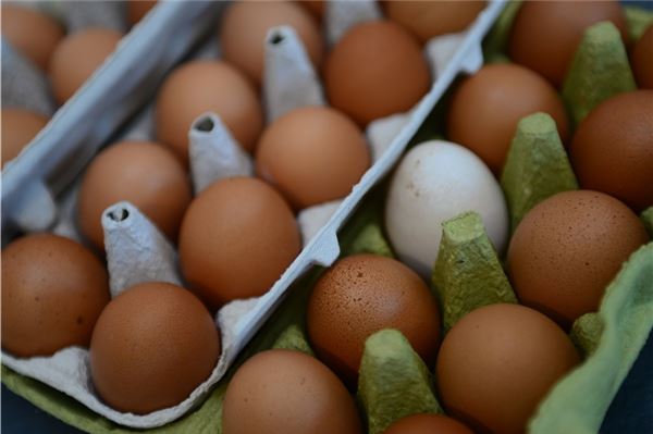 Eier, Obst und mehr direkt vom Hof