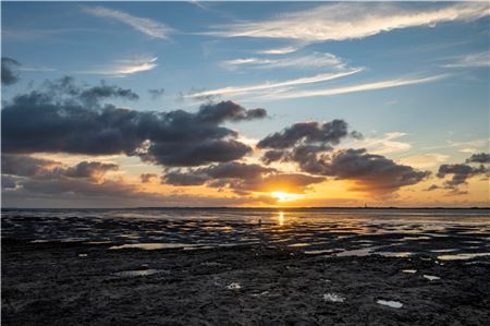 Das Weltnaturerbe Wattenmeer ist in Gefahr. Die Unesco warnt vor der Aberkennung desTitels. Foto: Ute Bruns