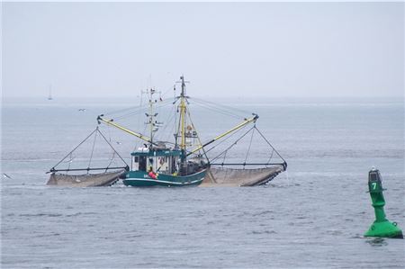 Die Fischer an Nord- und Ostsee dürfen sich auf höhere Finanzhilfen freuen.