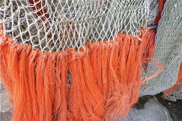 Diese bunten Fäden kennt jeder, oft liegen sie am Spülsaum. Die „Dolly Ropes“ mindern den Verschleiß an den Netzen. Die Greetsieler Fischer schaffen sie ab.
