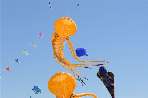 Bunte Drachen in Dornumersiel