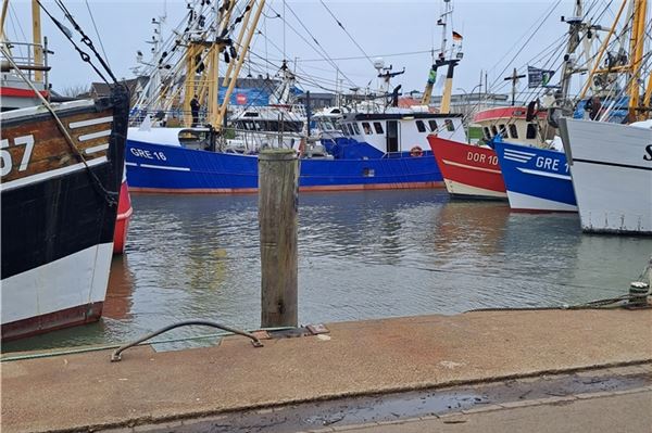 Greetsieler Kutter kurz nach Ihrer Ankunft im Büsumer Hafen. Ab Donnerstag werden die Fischer demonstrieren.