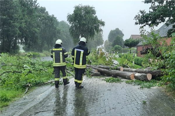 In den östlichen Gemeinden des Landkreises fielen einige Bäume um. Foto: Feuerwehr