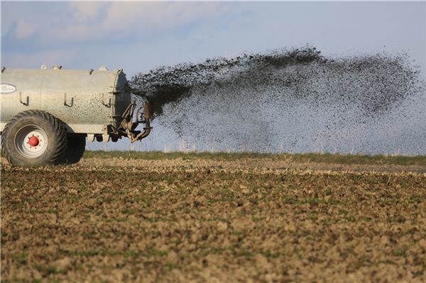 Gülle aus Traktoren-Anhänger fließt in ein nachfolgendes Auto Literweise Gülle ergoss sich nach einem Unfall in Sandhorst in das Auto eines Heselers. Er hatte beim Überholen übersehen, dass der Traktor samt Gülleanhänger abbiegen wollten. Er kollidierte mit dem Fass. Das hatte Folgen.