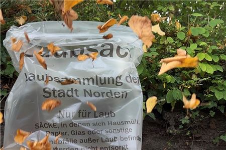 Ab nächster Woche werden die Laubsäcke abgeholt.