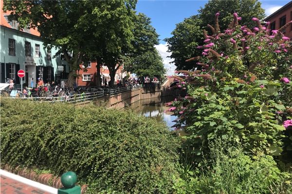 Wandertage durch Ostfriesland Auch eine Dorfführung durch Greetsiel findet während der Wandertage statt. Foto: Hauke Eilers-Buchta