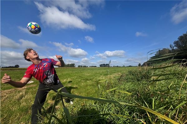 Auf dieser Wiese wird der neue Platz entstehen.