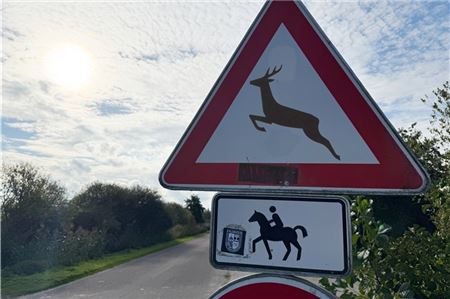 Bei Eintritt der Dämmerung sollte man auf Landstraßen seine Fahrweise anpassen. 