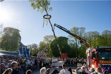 Bei prächtigem Wetter wurden Mittwochabend allerorten die Maibäume aufgestellt. So in Norden (l.) und auch in Berumbur – mit anschließendem Umzug.
