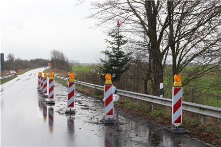 Dieses Schlagloch in Ostfriesland hat seinen eigenen Weihnachtsbaum