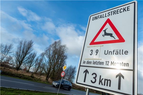 Wildunfälle bleiben trotz Tempolimit ein Problem in Hage