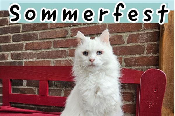 Sommerfest der Aktiven Tierfreunde Sommerfest der Aktiven Tierfreunde