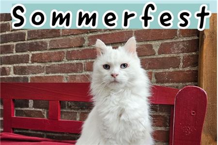 Sommerfest der Aktiven Tierfreunde