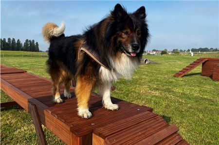 Neue Freilauffläche für Hunde in Greetsiel