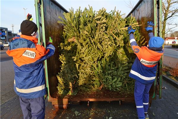 Jugendfeuerwehr sammelt Weihnachtsbäume ein