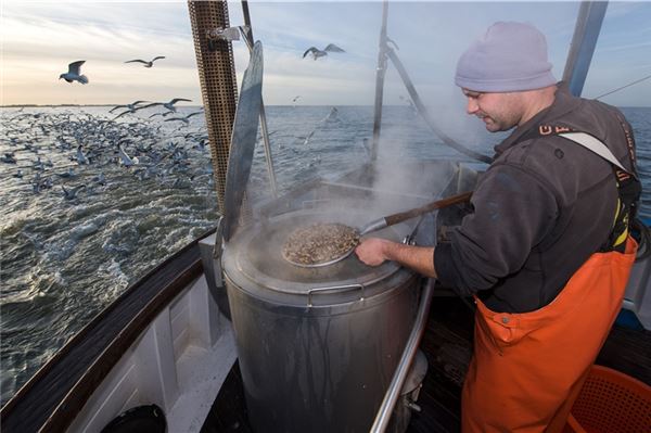 Fischer melden einen starken Rückgang der Fangmengen