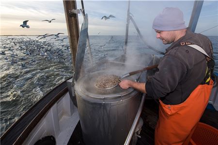 Fischer melden einen starken Rückgang der Fangmengen