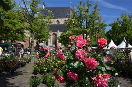 Norder Marktplatz wird zum Treffpunkt für Gartenfreunde