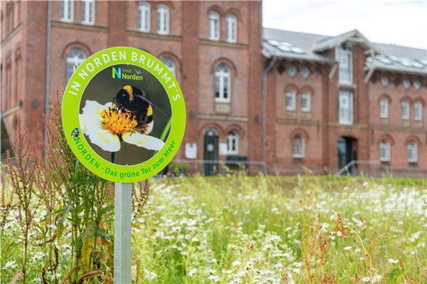 Gewolltes Durcheinander ist Nahrungsquelle und Kinderstube