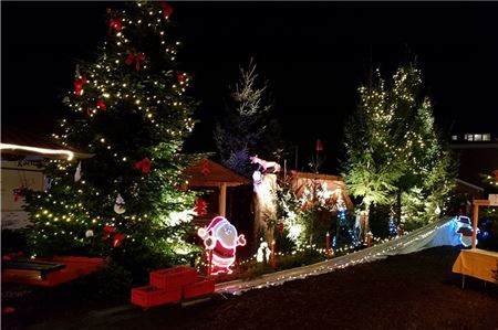 Bunte Lichter und weihnachtliche Stimmung in der Westerstraße