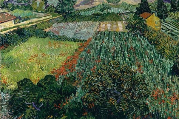 Das Bild „Das Mohnfeld“ des Malers Vincent van Gogh.