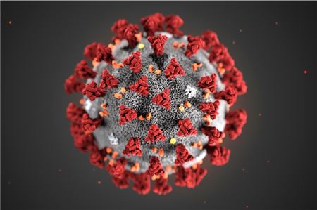 Das Coronavirus. 