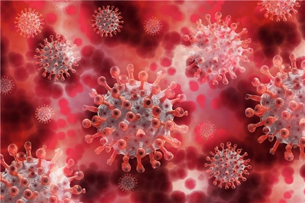 Das Coronavirus breitet sich in Ostfriesland weiter aus. In allen Landkreisen und der Stadt Emden werden Grenzwerte überschritten.