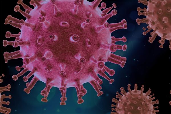 3000 Fälle seit Beginn der Pandemie Das Coronavirus hat Ostfriesland weiterhin fest im Griff.