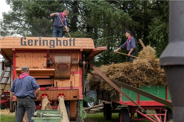 Das Getreide dreschen ist namensgebend für die Veranstaltung. Foto: Meret Edzards-Tschinke