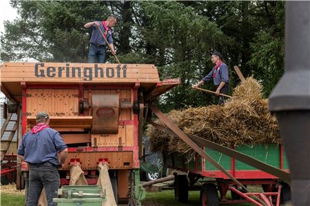 Das Getreide dreschen ist namensgebend für die Veranstaltung. Foto: Meret Edzards-Tschinke