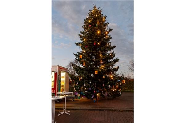 Der Baum war festlich geschmückt.