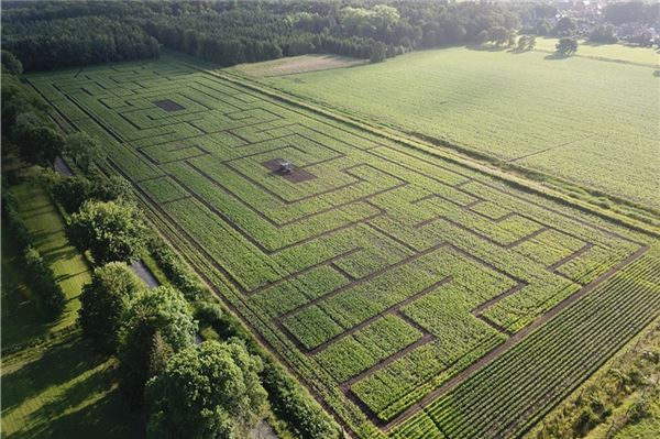 Der diesjährige Parcours ist dem ersten Maislabyrinth nachempfunden, das es in Lütetsburg gab. Fotos: DLC Agentur Berlin