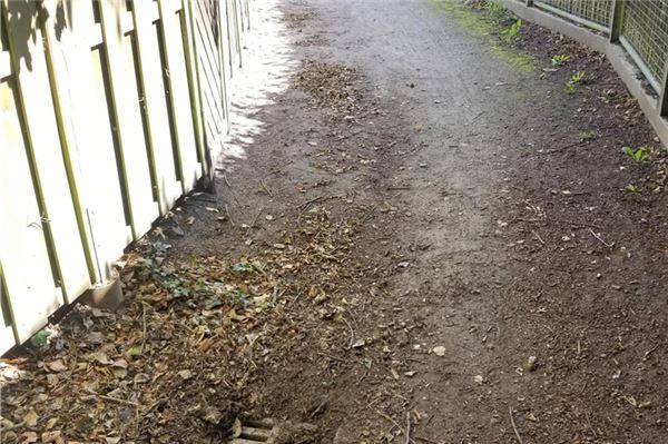 Der Geh- und Radweg zwischen Feldpfad und Martensdorf vor...