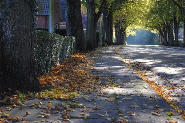 Der Herbst steht vor der Tür.