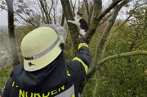 Der letzte Meter ist der Herausfordernste.