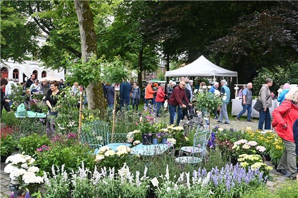 Der Rosenmarkt lässt mit seinem Angebot das Herz vieler Gartenliebhaber höherschlagen. Archivfoto: Ute Bruns