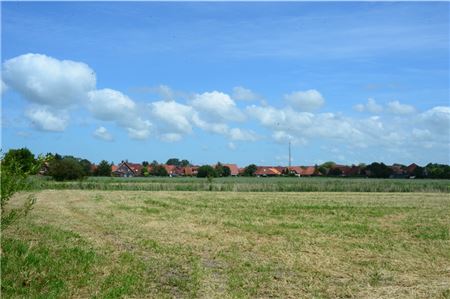 Die Erschließung des Gebiets Südliche Wigboldstraße verzögert sich. 
