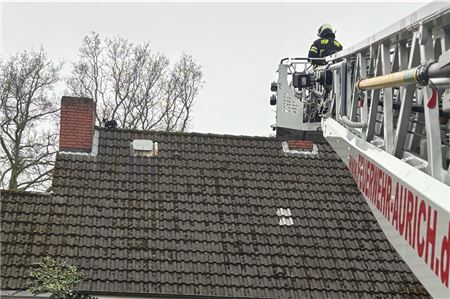 Die Feuerwehr gab alles, doch die Katze reagierte auch auf mitgebrachte Spielzeuge nicht.