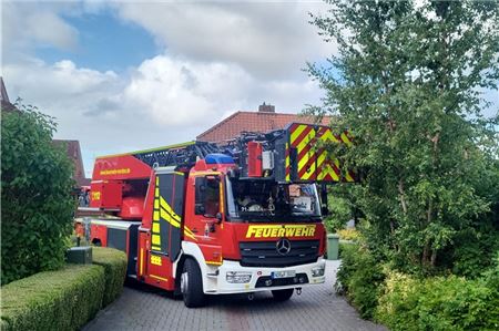 Ein Feuerwehrauto in einer schmalen Straße mit zugewucherten Hecken und großen Bäumen.