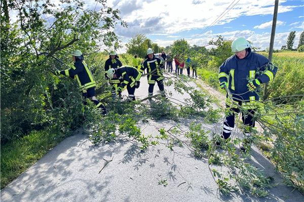 Die Feuerwehr Krummhörn-West verhinderte, dass Äste eine Telefonleitung in Upleward beschädigten.