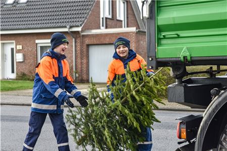 Die Jugendfeuerwehr sammelt alte Weihnachtsbäume.