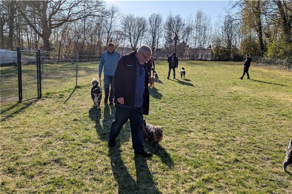 Die Mitglieder treffen sich regelmäßig auf dem Platz, um gemeinsam zu trainieren oder die Hunde spielen zu lassen. Foto: Merlin Klinke