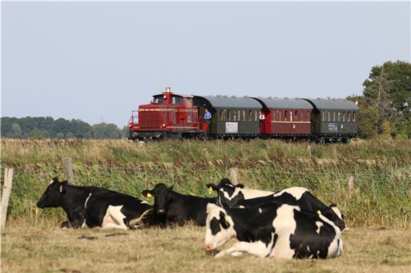 Die Museumseisenbahn kann dank der finanziellen Unterstützung, unter anderem durch den Landkreis Aurich, auch die nächsten Jahre durchs Norderland fahren. Foto: privat