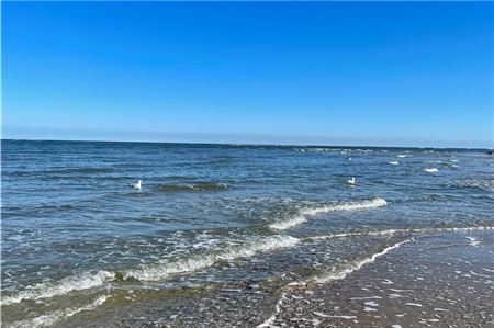 Die Nordsee – hier vor Baltrum – war in diesem Sommer überdurchschnittlich warm. Foto: Hauke Eilers-Buchta