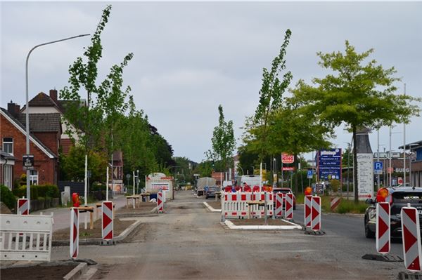 Bahnhofstraße in Norden wird voll gesperrt Die Sanierungs- und Umbauarbeiten an der Bahnhofstraße nähern sich dem Abschluss. Seit Montag werden entlang der Straße 44 neue Bäume gepflanzt.