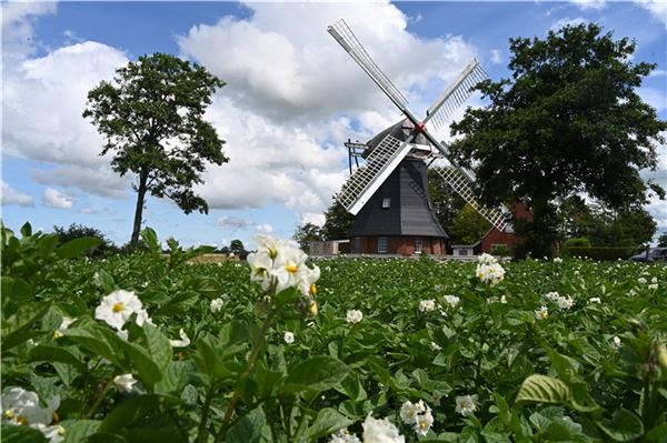 Mühlen im Norderland öffnen ihre Tore Die Tjaden-Mühle in Großheide ist in diesem Jahr ebenfalls wieder dabei. Foto: Martin Stromann