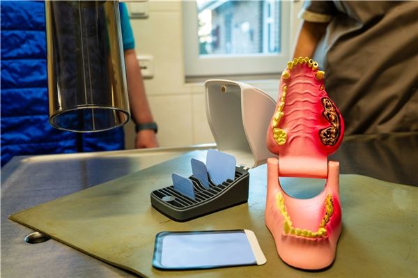 Die Zahnmedizin ist ein Bereich, der in den vergangenen Jahren enorm an Bedeutung gewonnen hat.